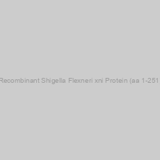 Image of Recombinant Shigella Flexneri xni Protein (aa 1-251)